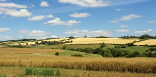 South Downs National Park housing plans raise concerns