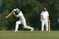 Brewer hits half-century but Waverley slip to defeat