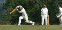 Brewer hits half-century but Waverley slip to defeat