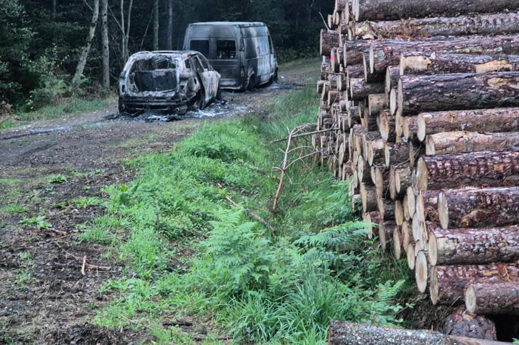 Burnt-out vehicles under investigation by Sussex Police