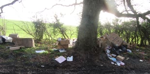 Four Marks resident fined for fly tipping