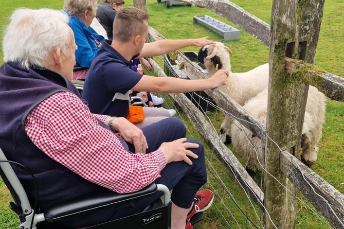 Residents meet their sheep roommates