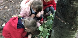 Fernhurst Primary pupils get hands-on with den building in the woods