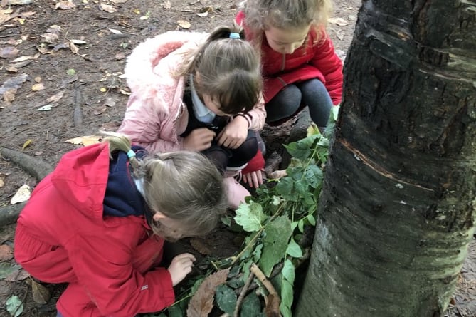 Fernhurst pupils get stuck i building dens