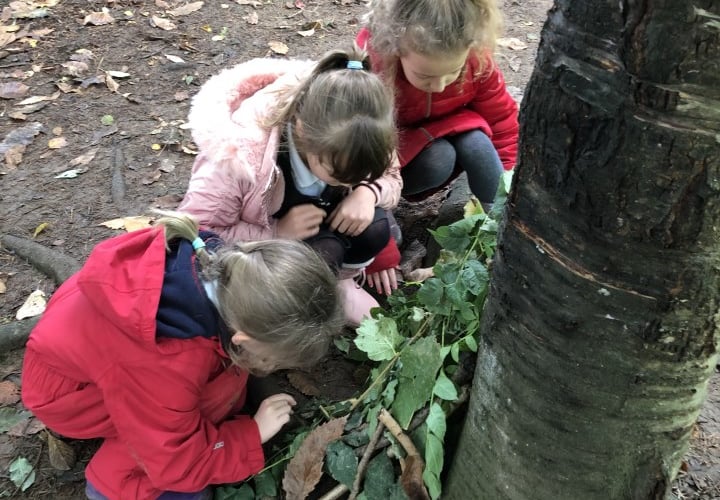 Fernhurst pupils get stuck i building dens