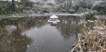 VIDEO: Snow falls in East Hampshire creating a winter wonderland