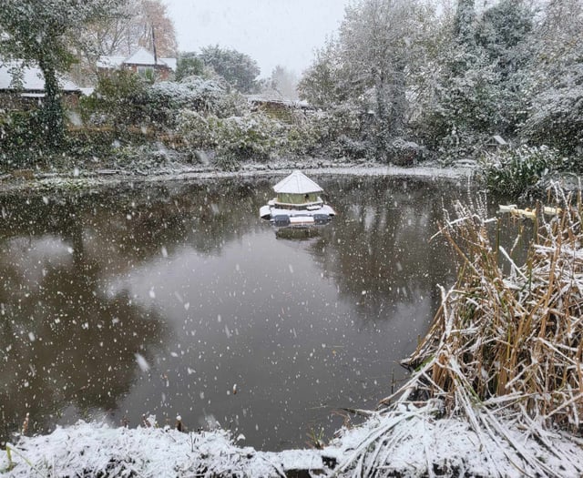 VIDEO: Snow falls in East Hampshire creating a winter wonderland