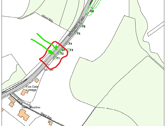 Map showing the ancient tree's location in conjunction with the planned development