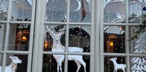 Window Wonderland: Haslemere’s Christmas competition wraps up