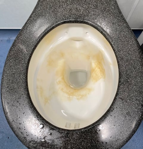 Damage to toilet on Lion Green