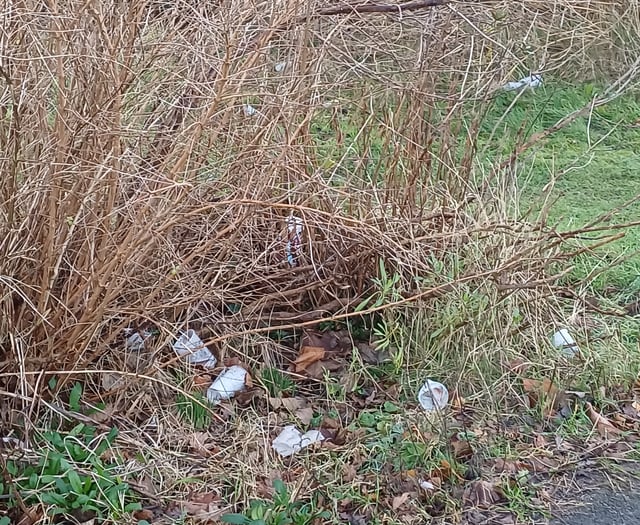 Petersfield's volunteer litter pickers are on strike