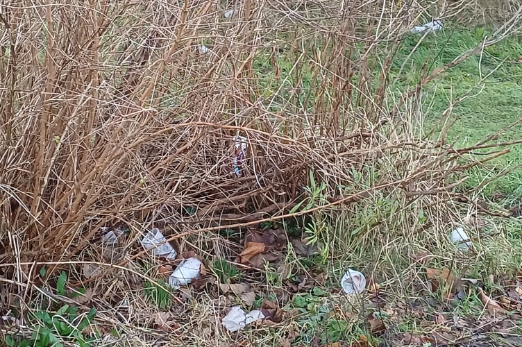 Litter in Petersfield, East Hampshire