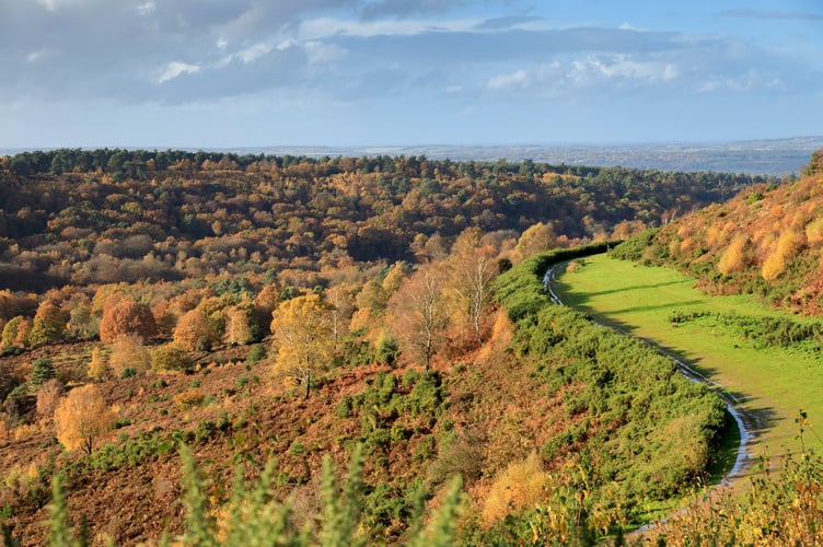 Hindhead Commons and the Devil's Punch Bowl, credit National Trust Images-John Millar