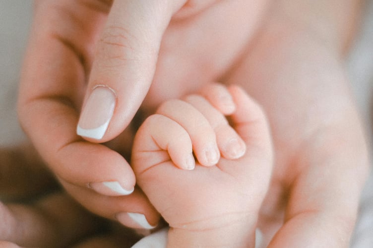 Baby holding parent's hand stock image