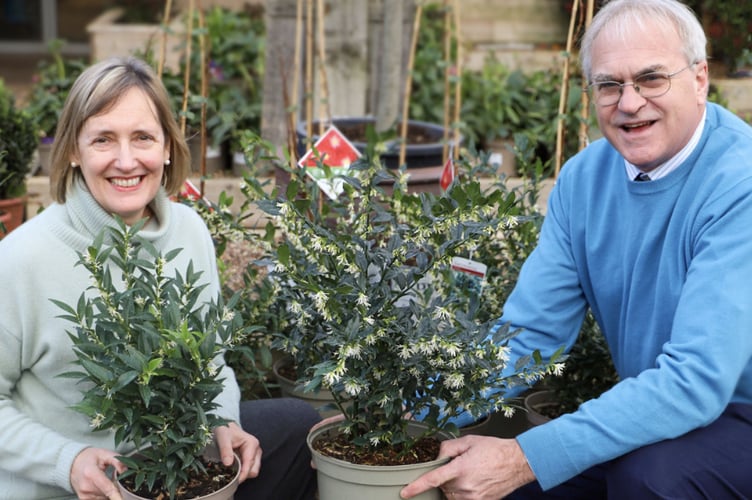 Sarah Squire, with Vincent Catt, expert plantsman and specialist grower at Squire’s nursery in Liss, with plants from the ‘Plant Discoveries’ collections